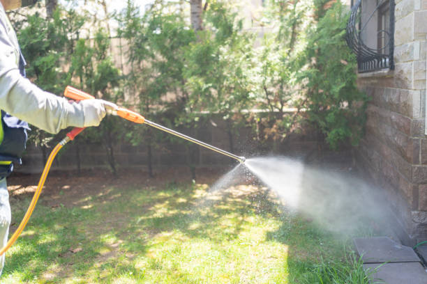 Pest Prevention Services in San Buenaventura, CA